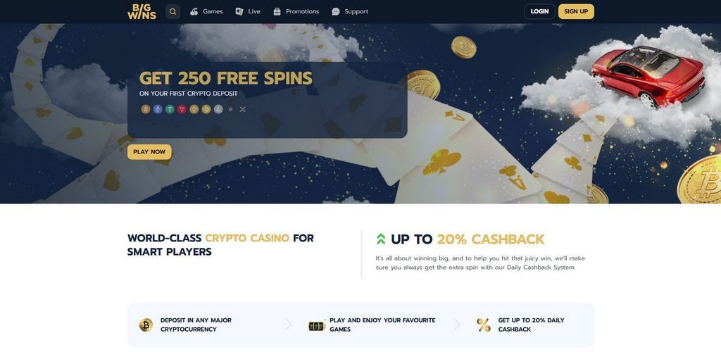 Online Casino Incentives - VIP Program for High Rollers