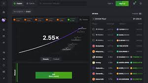 Understanding Crash BC CO A Deep Dive into the Phenomenon